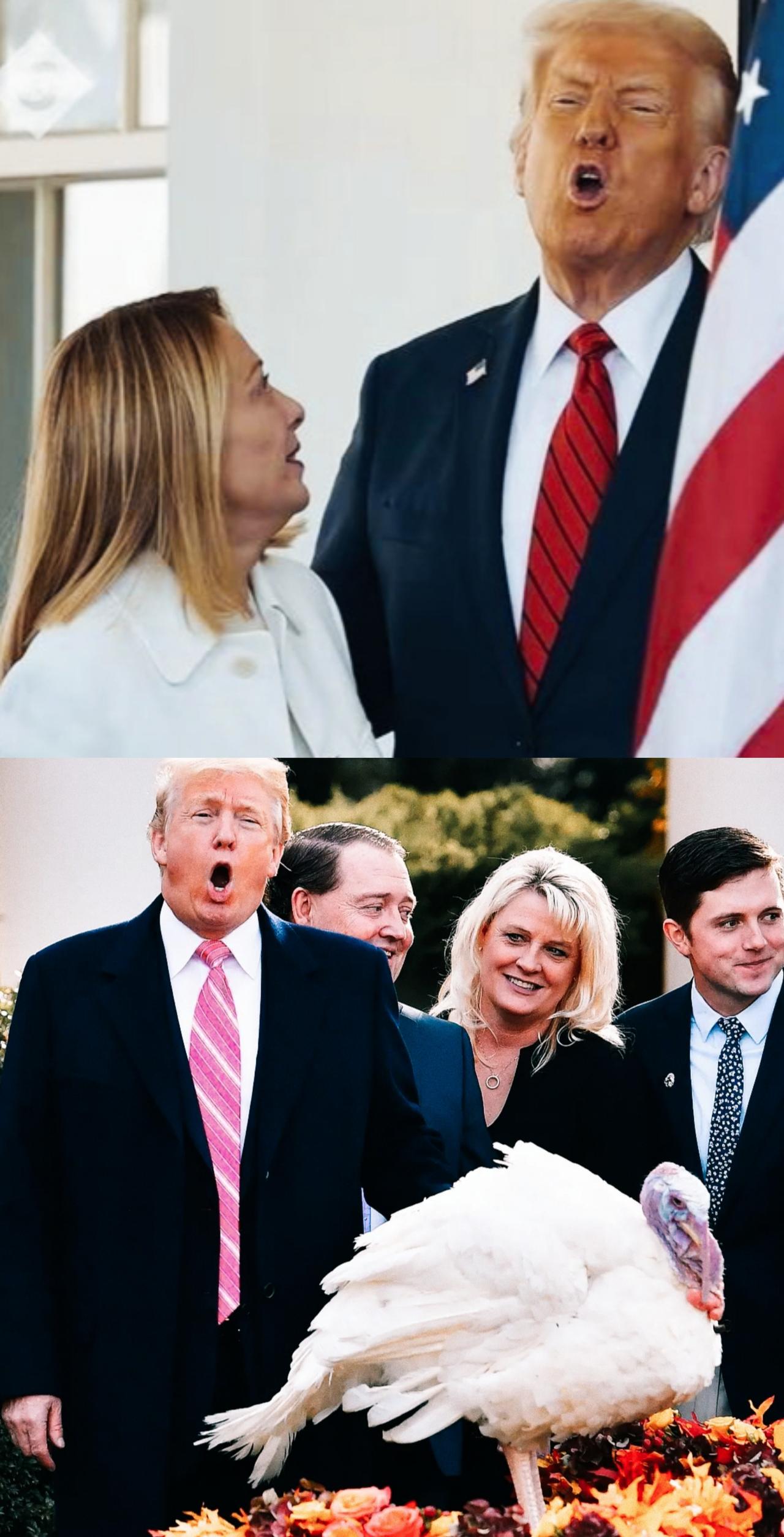 特朗普面对梅洛尼时，和面对火鸡时，面部表情和嘴型挺相似啊！
特朗普这嘴型是在激动