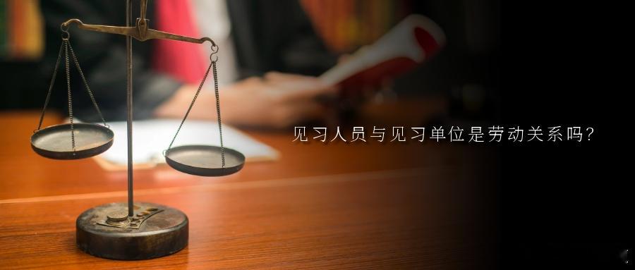 见习人员与见习单位是劳动关系吗？高校毕业生于正式入职前参加见习，与就业见习基地签