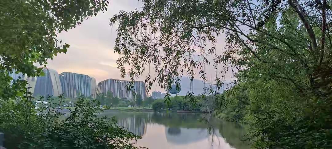 白马湖是杭州自然生态保护区，白马湖上有长堤长桥，把湖水一分为二，分成东、西白马湖