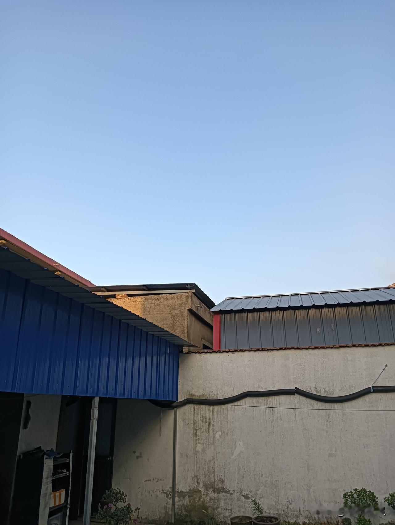 宁静的午后，蓝顶小屋与绿植相伴，岁月静好。