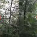 近日，重庆一名小伙走在山间回家路上，听见山林里传来一阵动物叫声，他猜到有小动物被