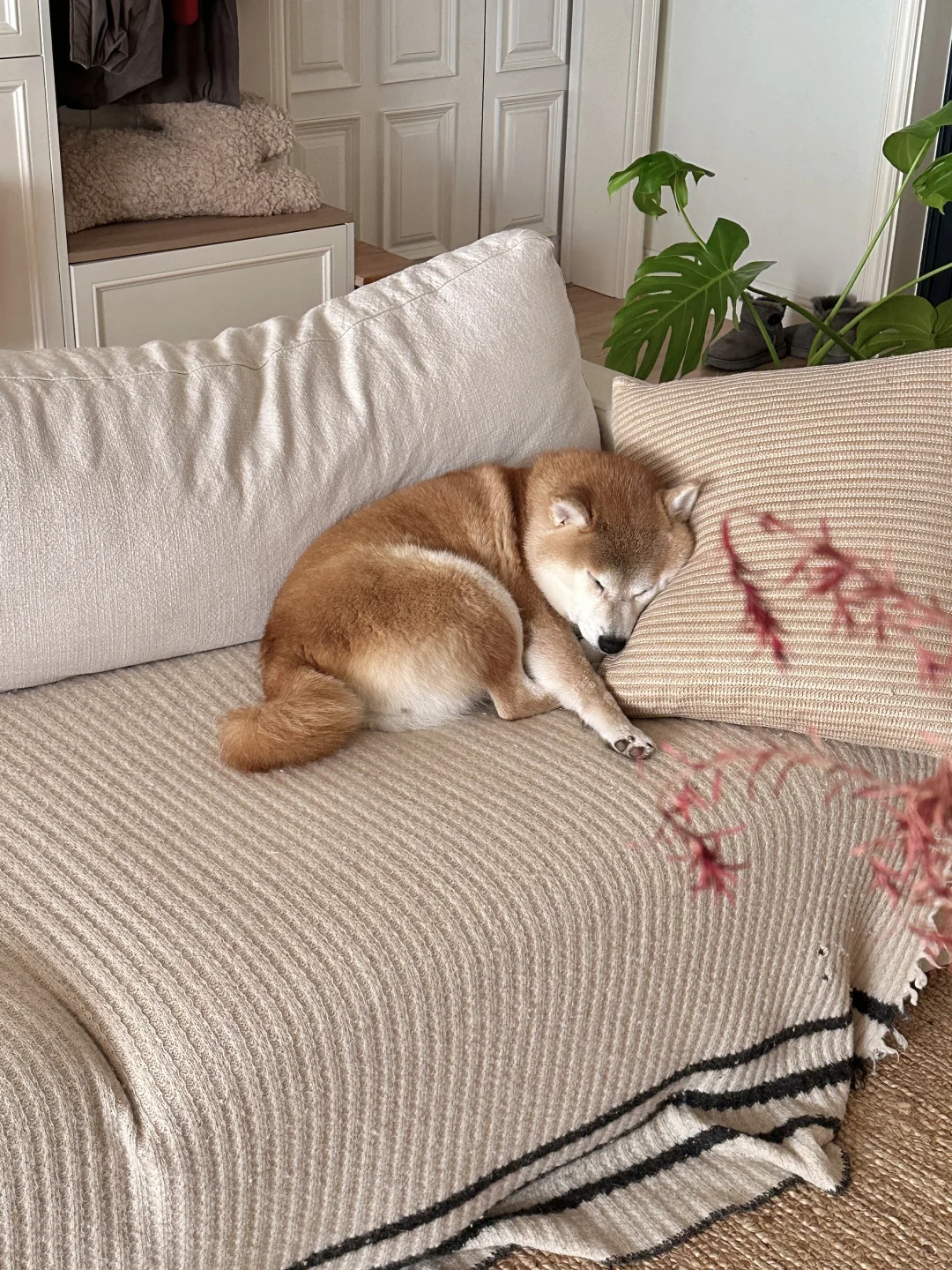 香香甜甜做个美梦💤