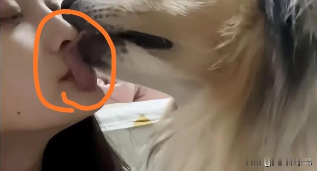 看了这图片，不知作何感想，
有人说是道德败坏，
这接吻的尺度也太大了吧，
没有一