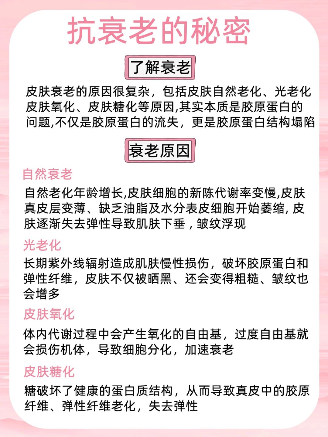 衰老真相大科普❗️看这篇就够了