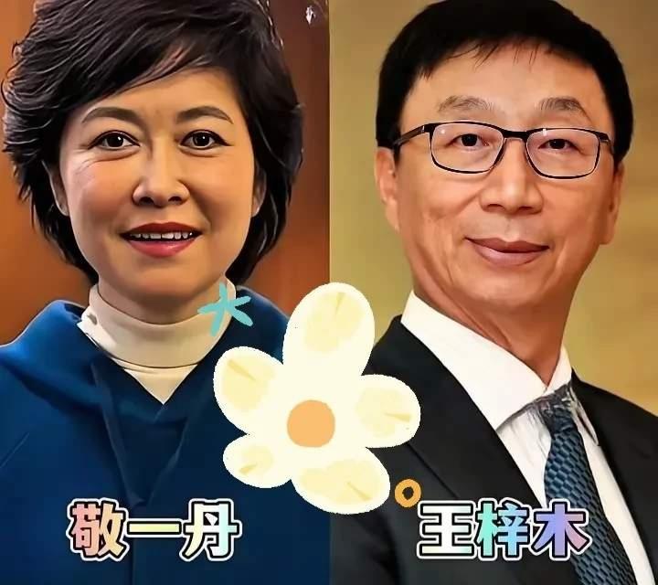 敬一丹夫妇
撒贝宁夫妇
杨澜夫妇
三对宝藏央视主持人夫妻，台上侃侃而谈，台下和爱