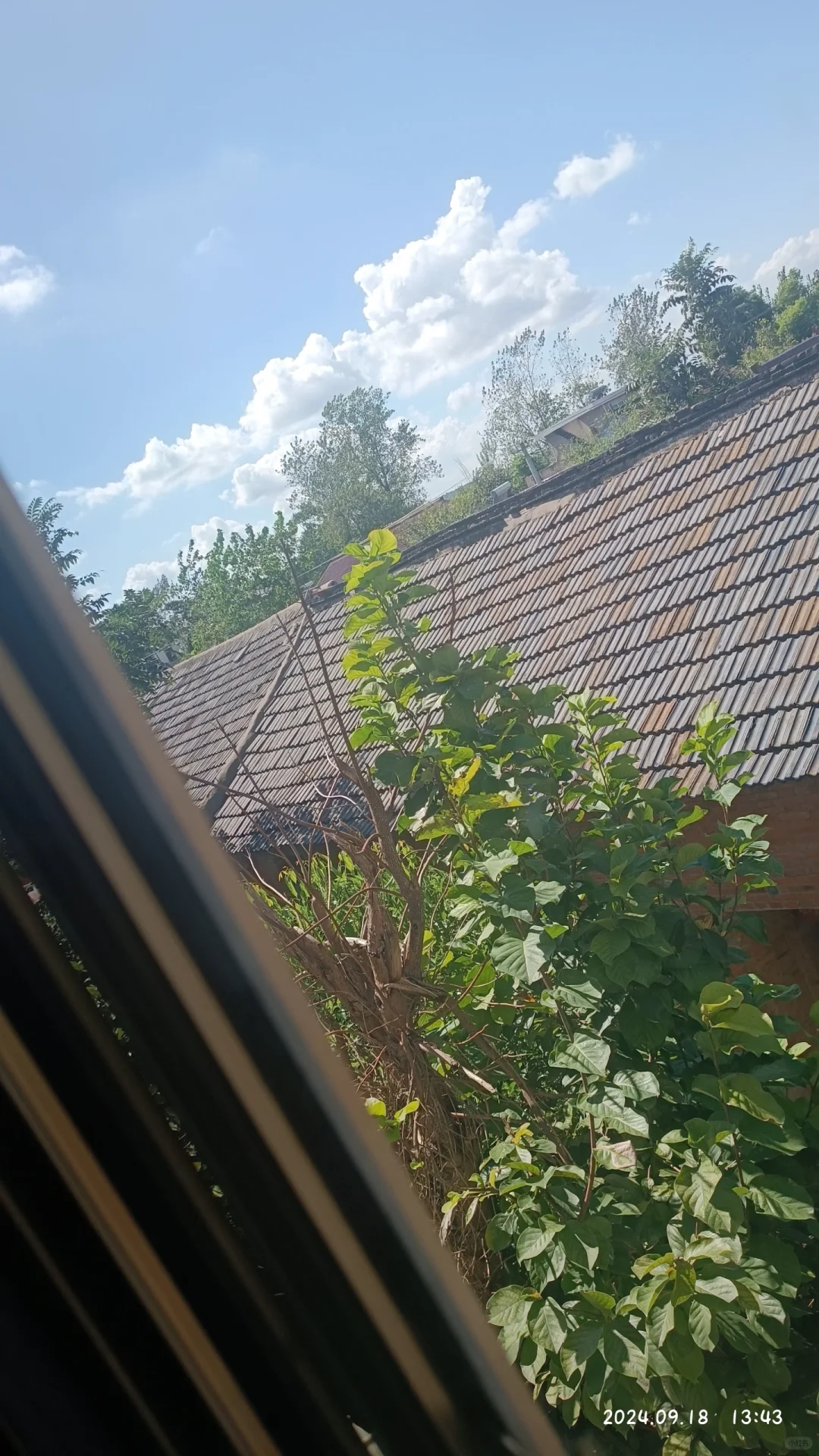 没意思