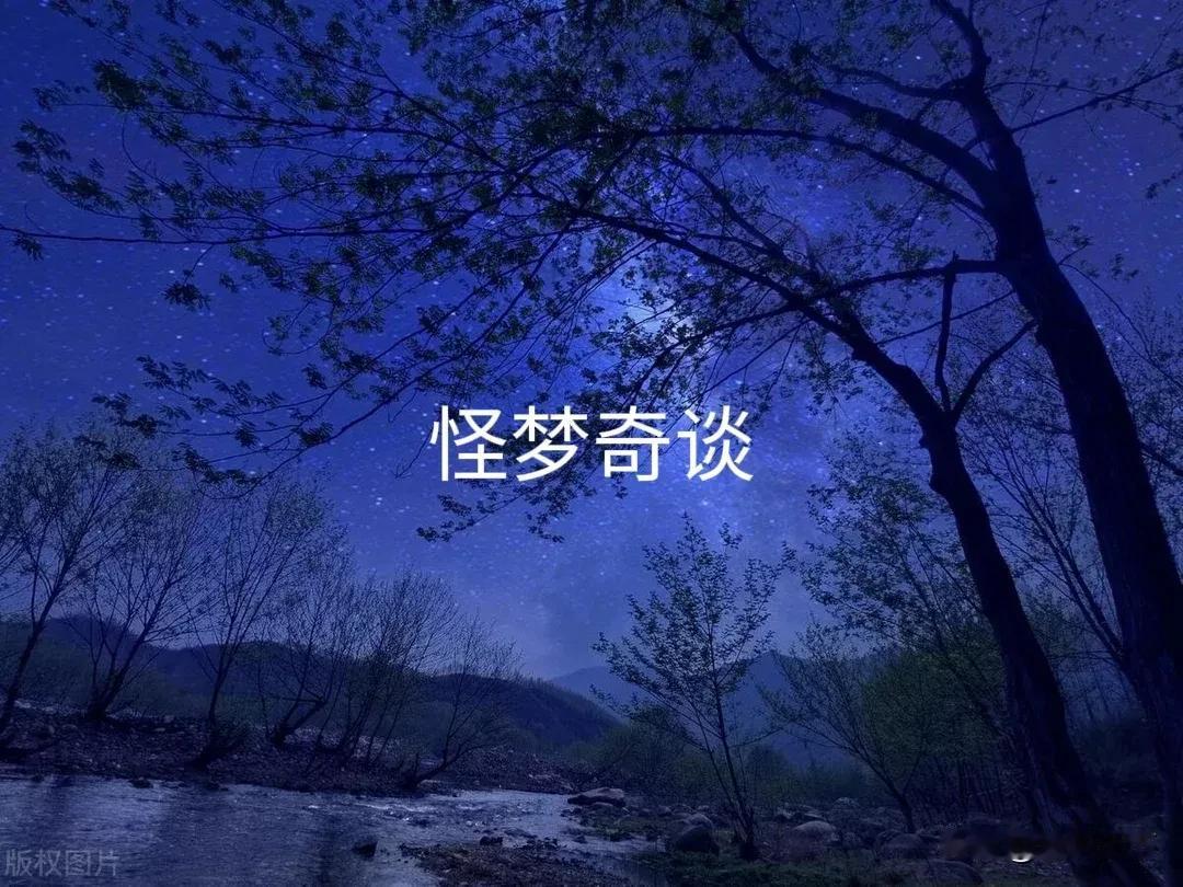 怪梦奇谈
昨夜梦到与妻子一同逛公园，遇到一位饲养员养了一只巨龟，大如磨盘，十分可