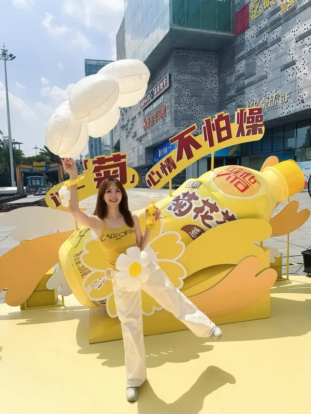 一“菊”压燥热 心自清凉 ⟡˖ 🌼💛