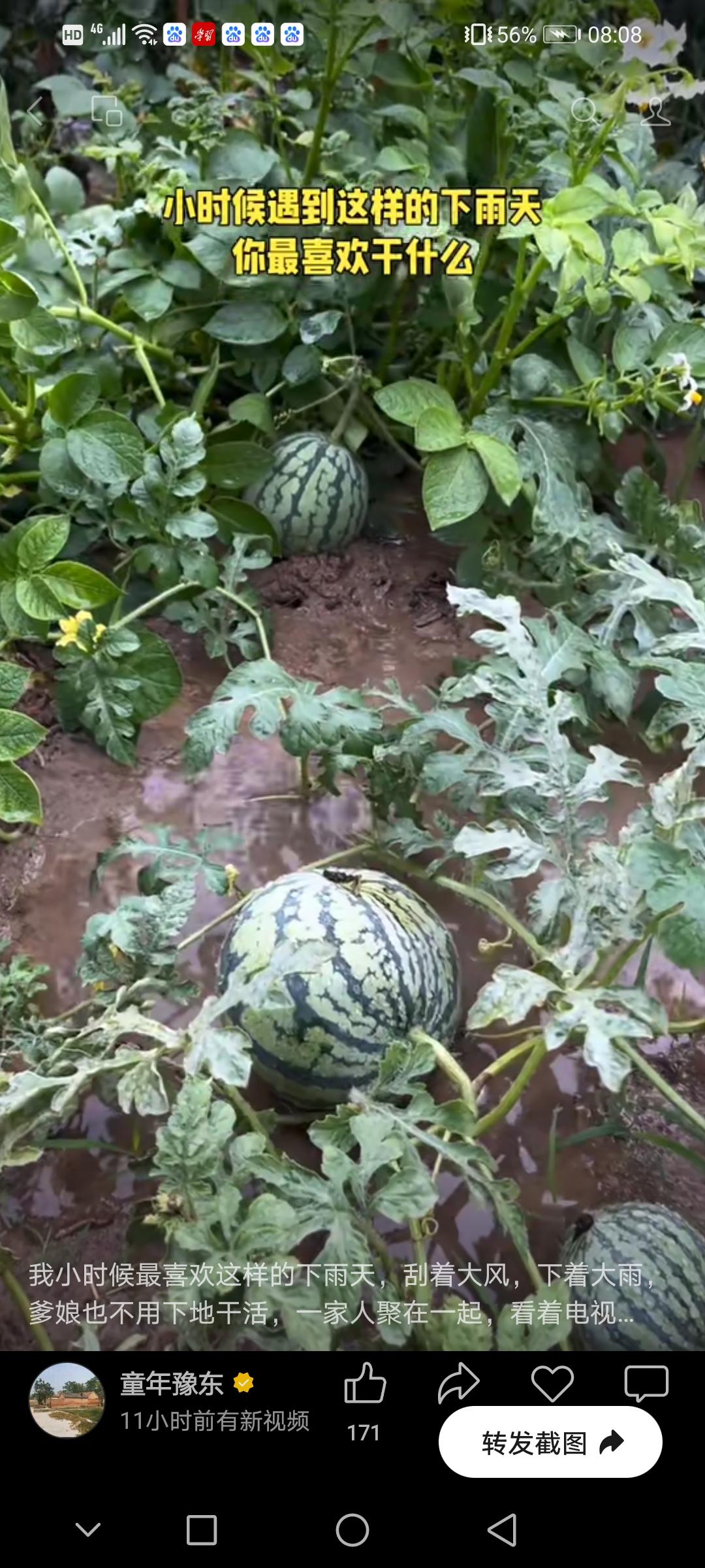 春日生活打卡季