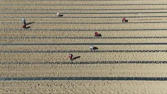 近期，不少农民关心家中二轮承包地到期后的安排。3月18日，相关政策文件正式发布，