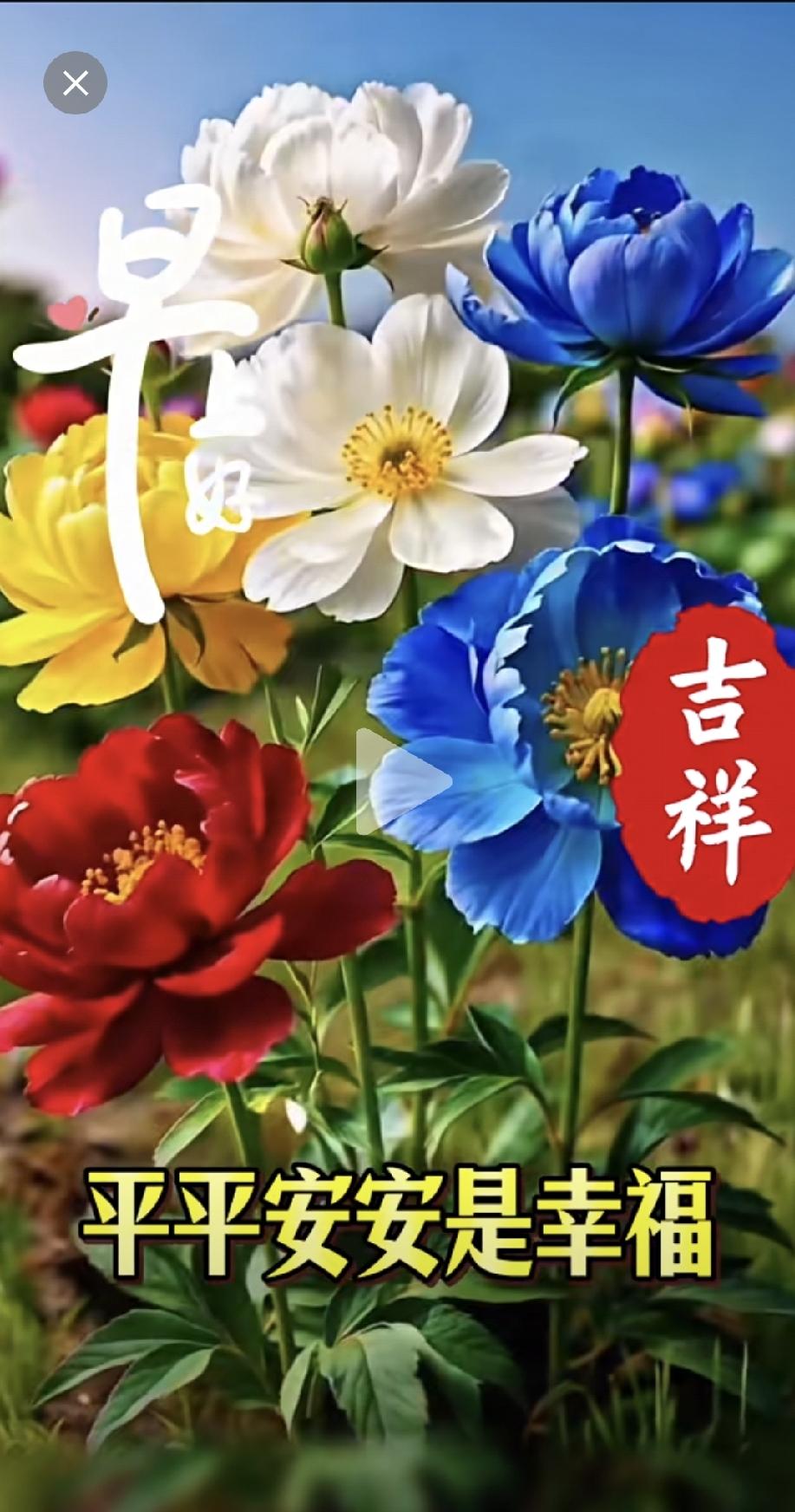 早上好！平平安安是岁月，这话太对了。想想生活里，不用大富大贵，也无需波澜壮阔，每