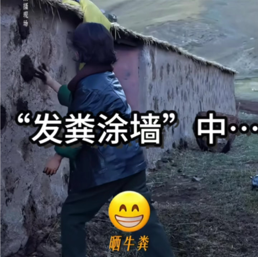 分享图片 