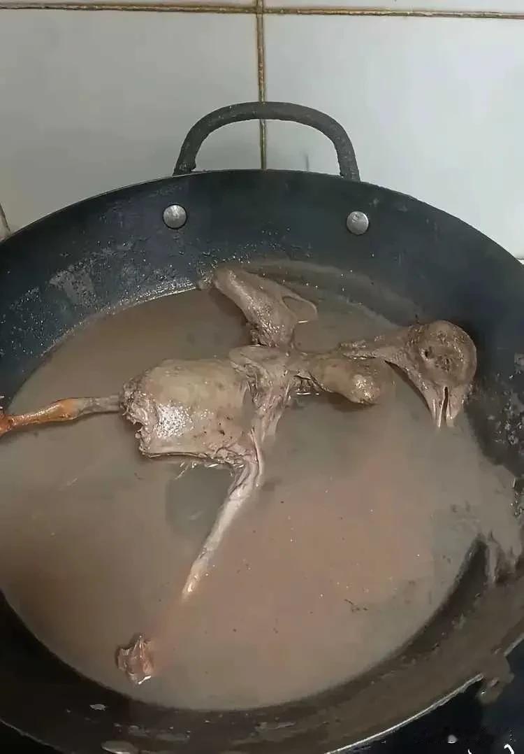 怎么办？这下麻烦大了！又得看儿

媳脸色了！

给儿媳补身体炖的鸽子汤，炖出
