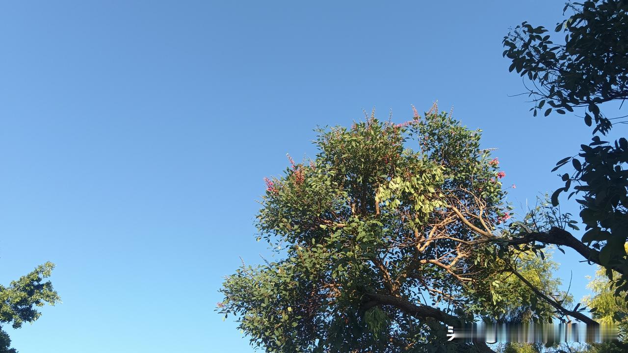 一位网友建议:
药店把每月运营成本公布，同时在药架上标上药的进货价，做到公开透明