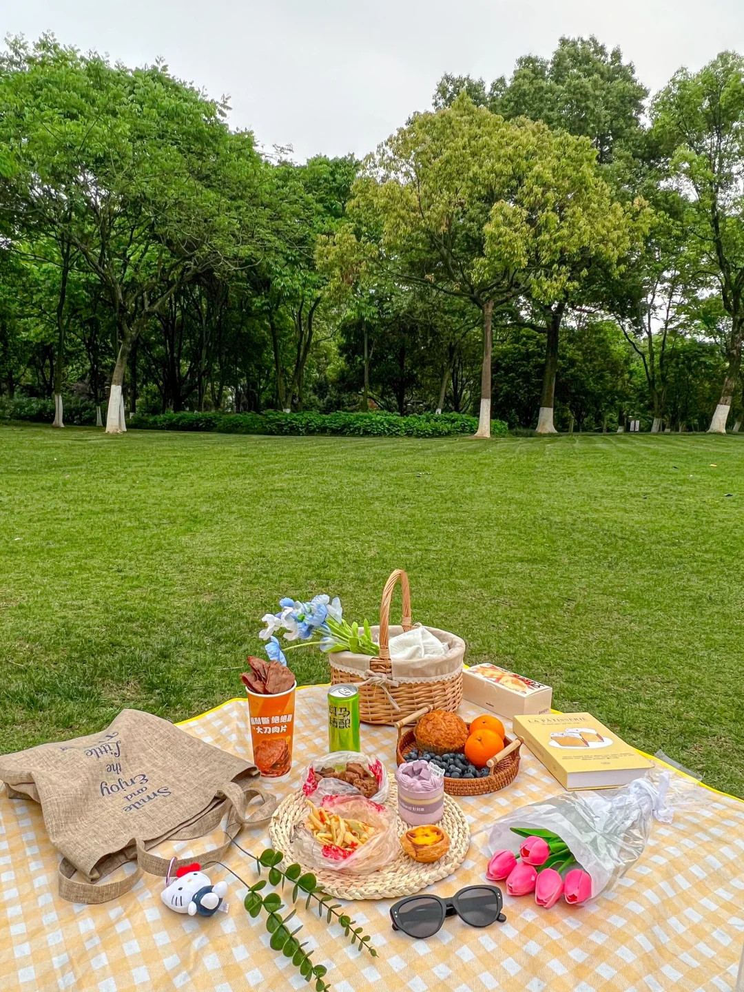 春天当然要和好朋友去野餐啦（附攻略）