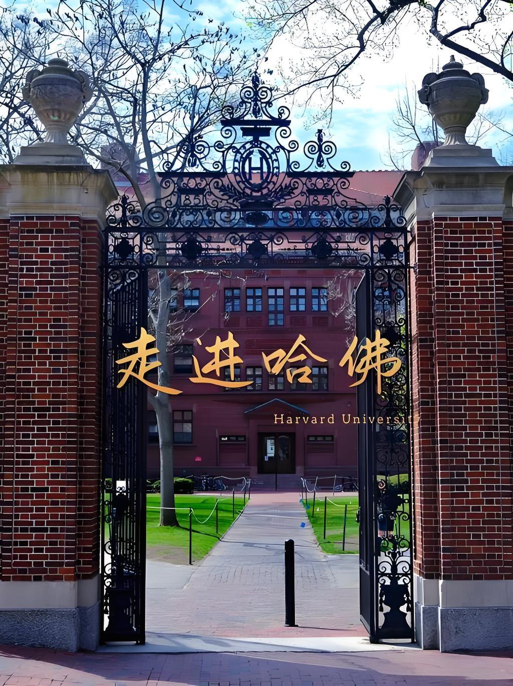 哈佛大学的思维游戏，请勇士上坐答题。
出租车的里程表
一位农民在乡间的一个池塘中