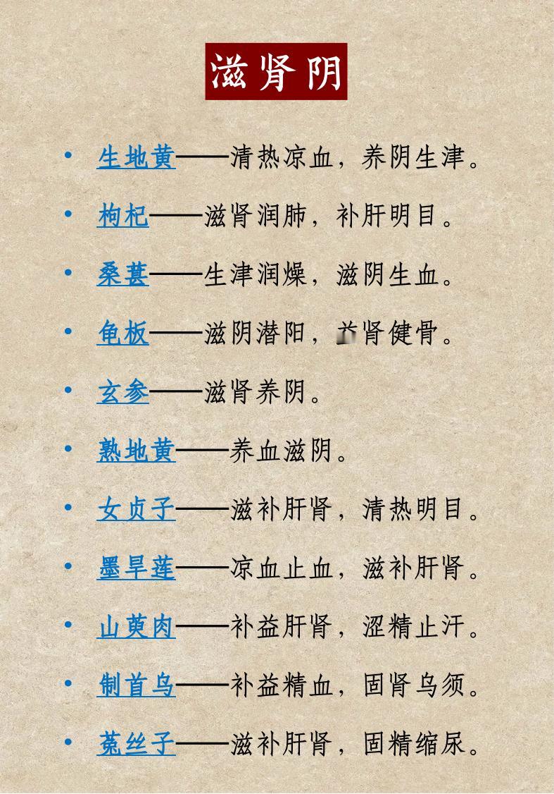 《五脏六腑中药归类——肾》中医中药健康养生科普涨知识

一、滋肾阴
玄参、熟地黄