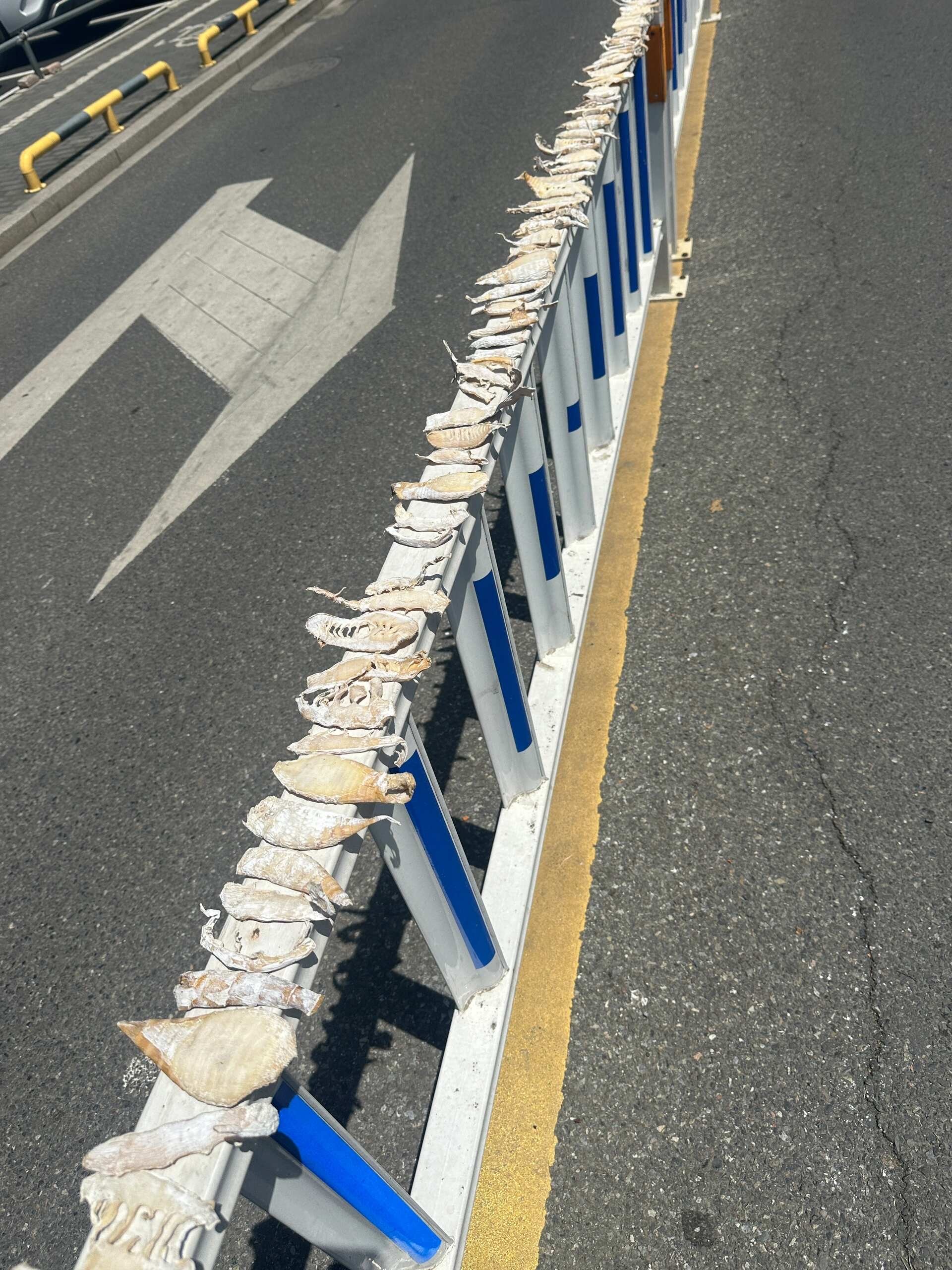 人怎么可以聪明成这样也没什么，就是过马路发现觉得很有意思 。你们有啥觉得有趣的事
