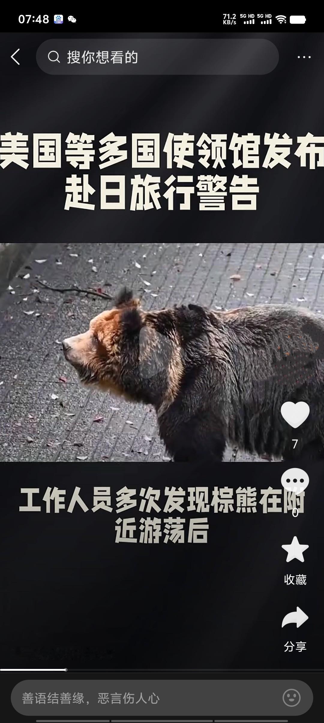 近期日本熊患严重，2025财年已有13人因熊袭击死亡，超市、学校、机场等区域频现