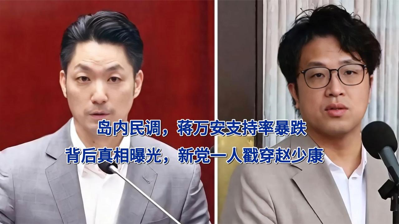 岛内民调，蒋万安支持率暴跌，背后真相曝光，新党一人戳穿赵少康