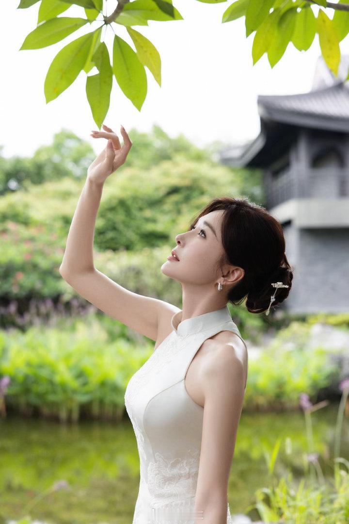 秦岚 