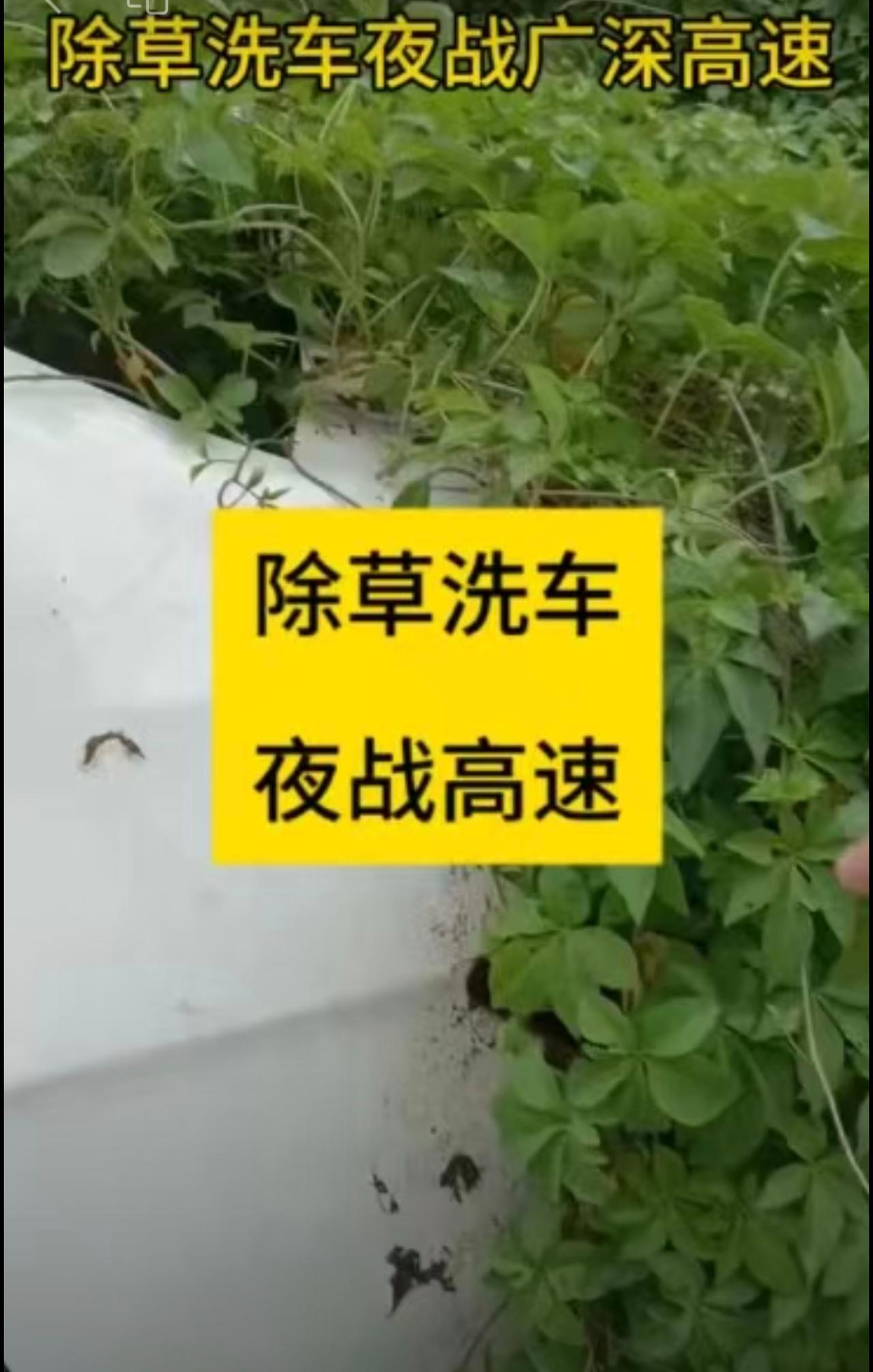 还有两天，就可以解除封印