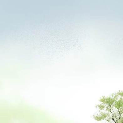 阳光信用  ⭐ 每日一善  岁月静好是片刻，一地鸡毛是日常，即使世界偶尔薄凉，内