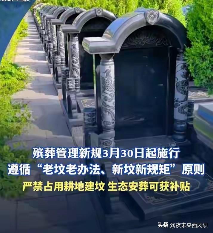 新的殡葬管理挺好，多年后还是意识到了，总算是回头了。
都说石油是动物尸体形成了，