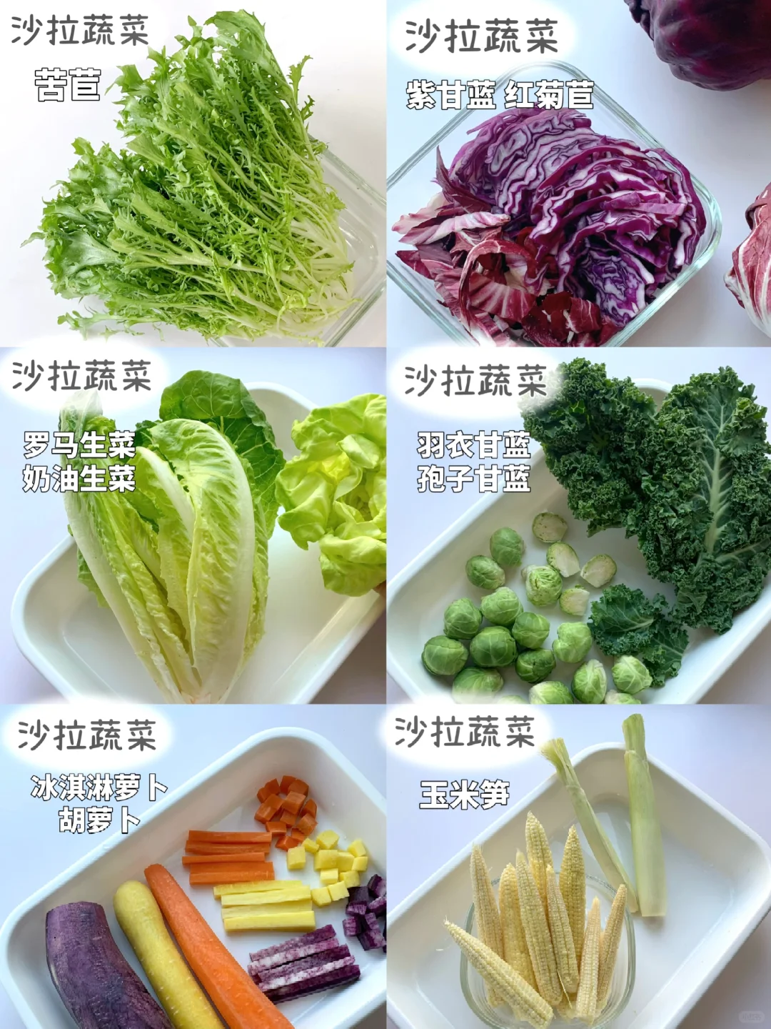 沙拉菜分享🥗9种沙拉基底蔬菜试吃❗真实体验