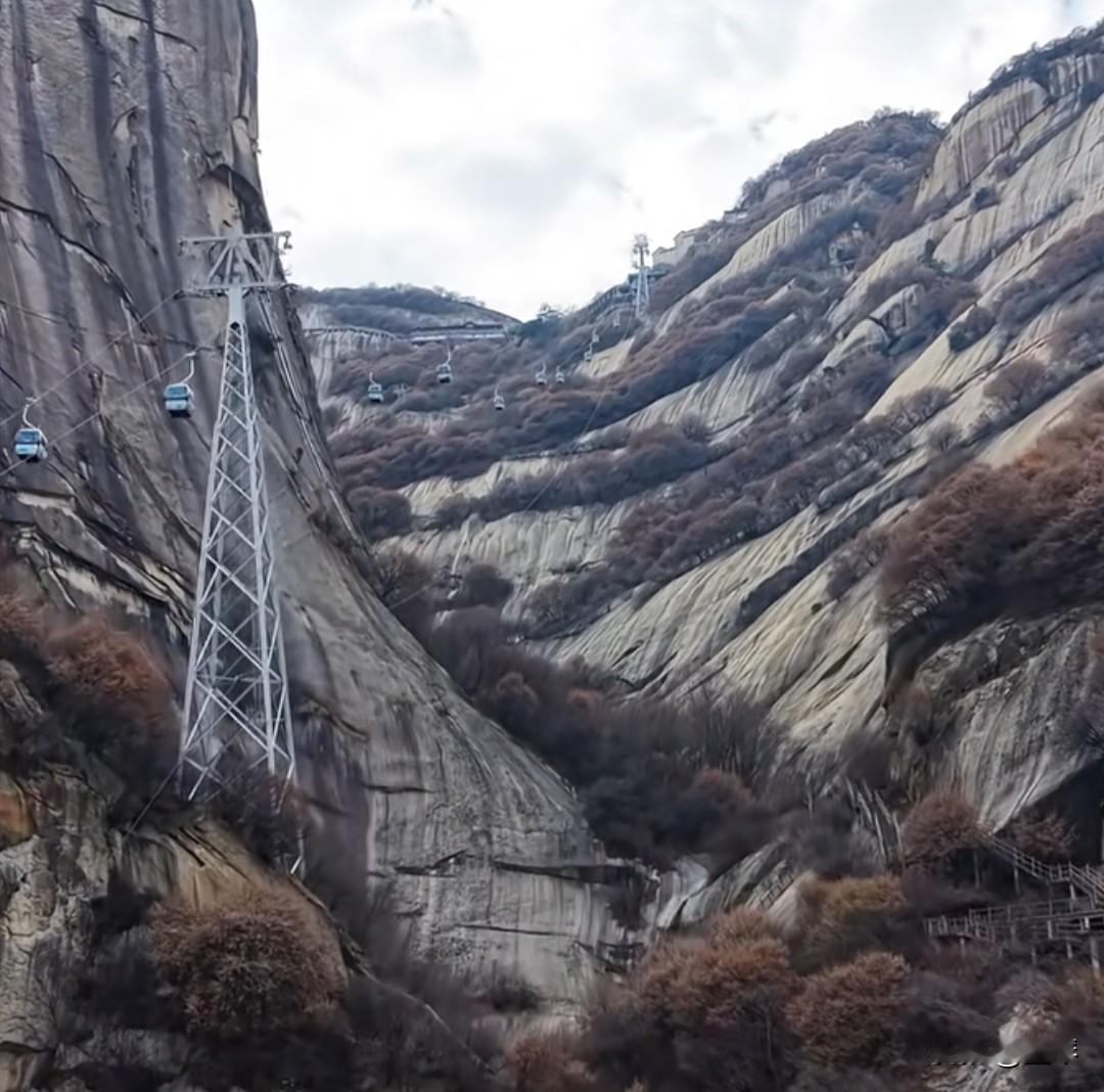 收纳

作者:墨琴

心是小小的盒子
别装繁杂的东西
当清风  晚霞  和花开的