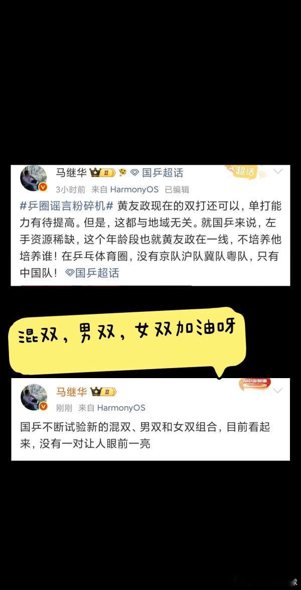 男双女双都没有优秀的成绩，配来配去效果都不是很满意，但是小将里面的左手将几乎没有