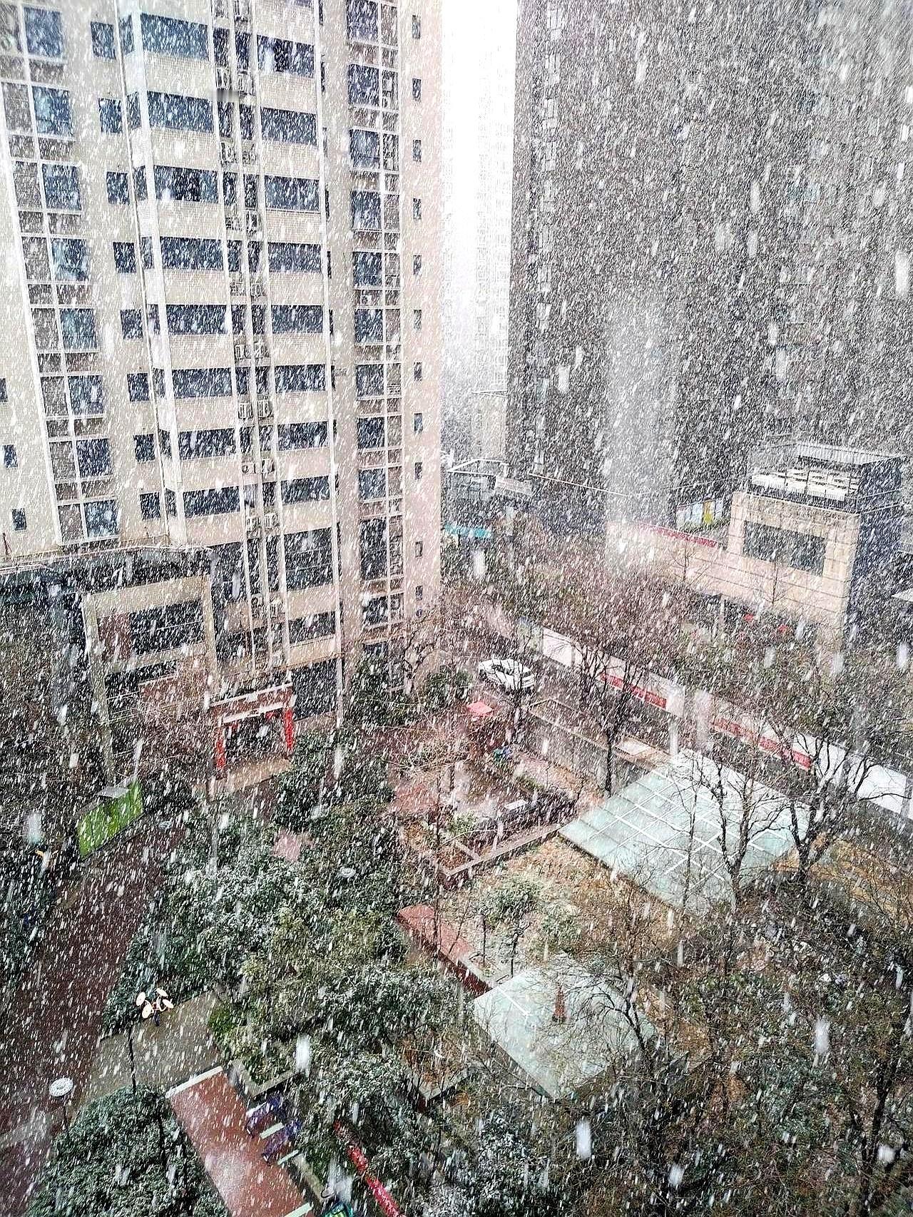 过年回家，节后死活不肯再回养老院，95岁的老爷子哭得像个孩子
子女们个个面露难色