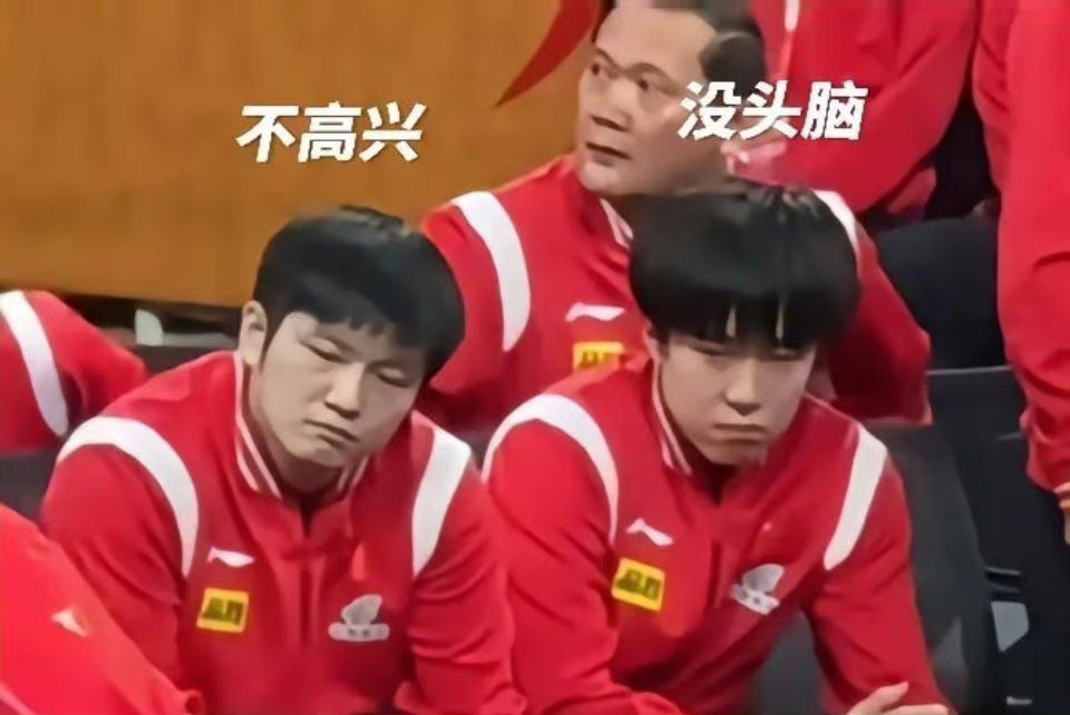 #王皓 好了没我的大小姐#哈哈哈哈哈哈笑料又返场！白告一遇到胖头就开始愁，又不能