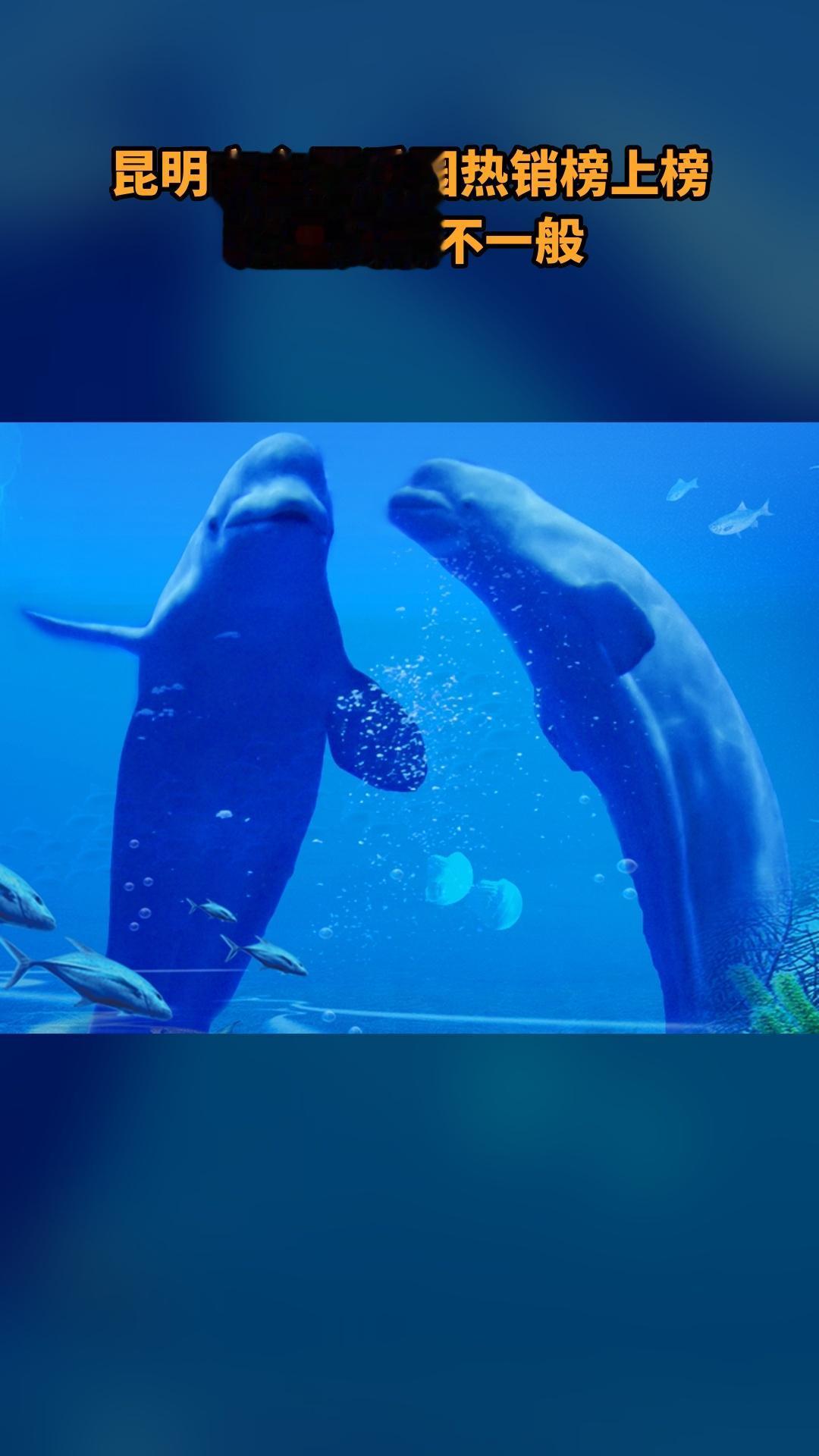 冰雪海洋世界，当季福利，新鲜登场，4.2分推荐，成人五人票（注意，叠加...