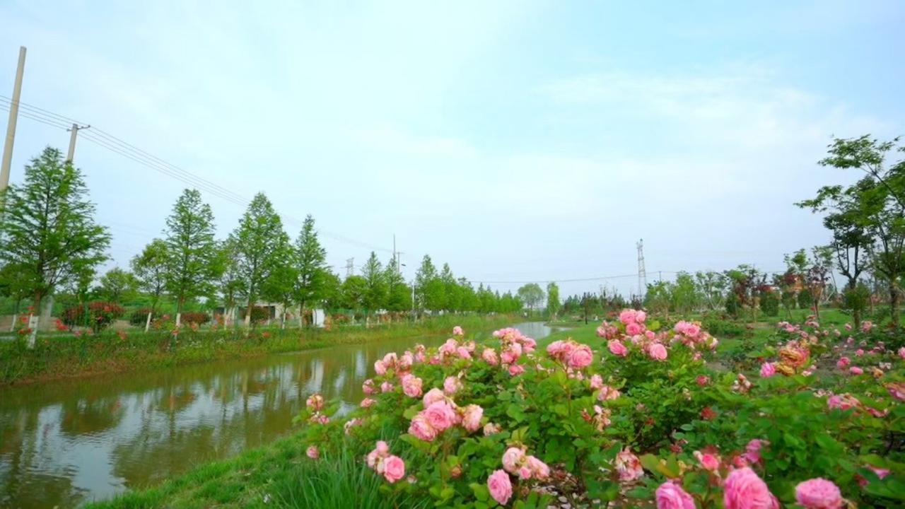 分享一下你今天随手拍下的美景春到秦皇河