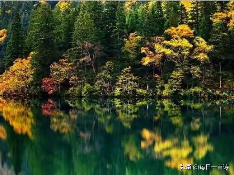 快来看看我新换的主页背景吧