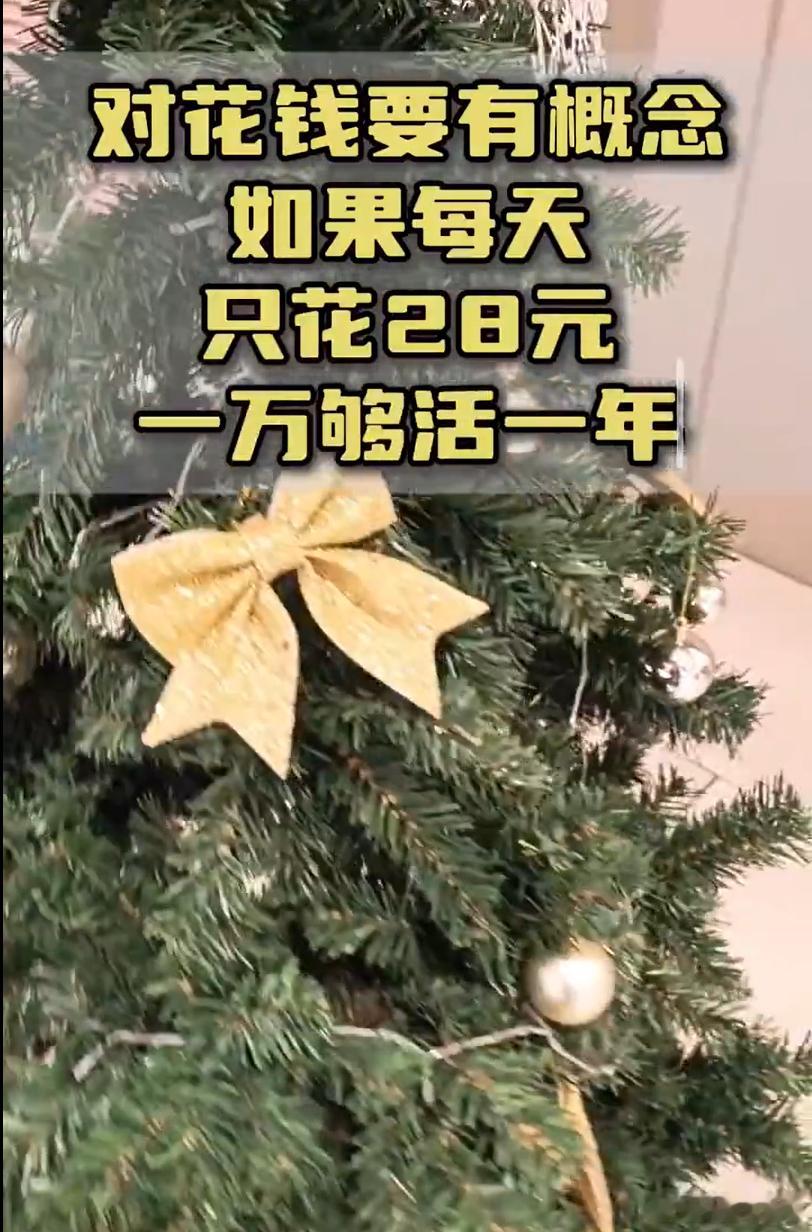 住房成本碾压预算：一线城市单日房租普遍超100元（如上海日租120元），占28元