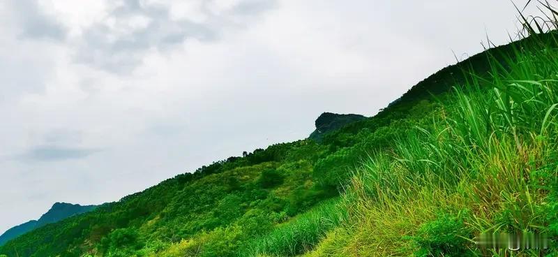 “青山不语千秋画”，青山默默伫立，像一幅永不褪色的画卷，春有百花点缀，秋有红叶渲