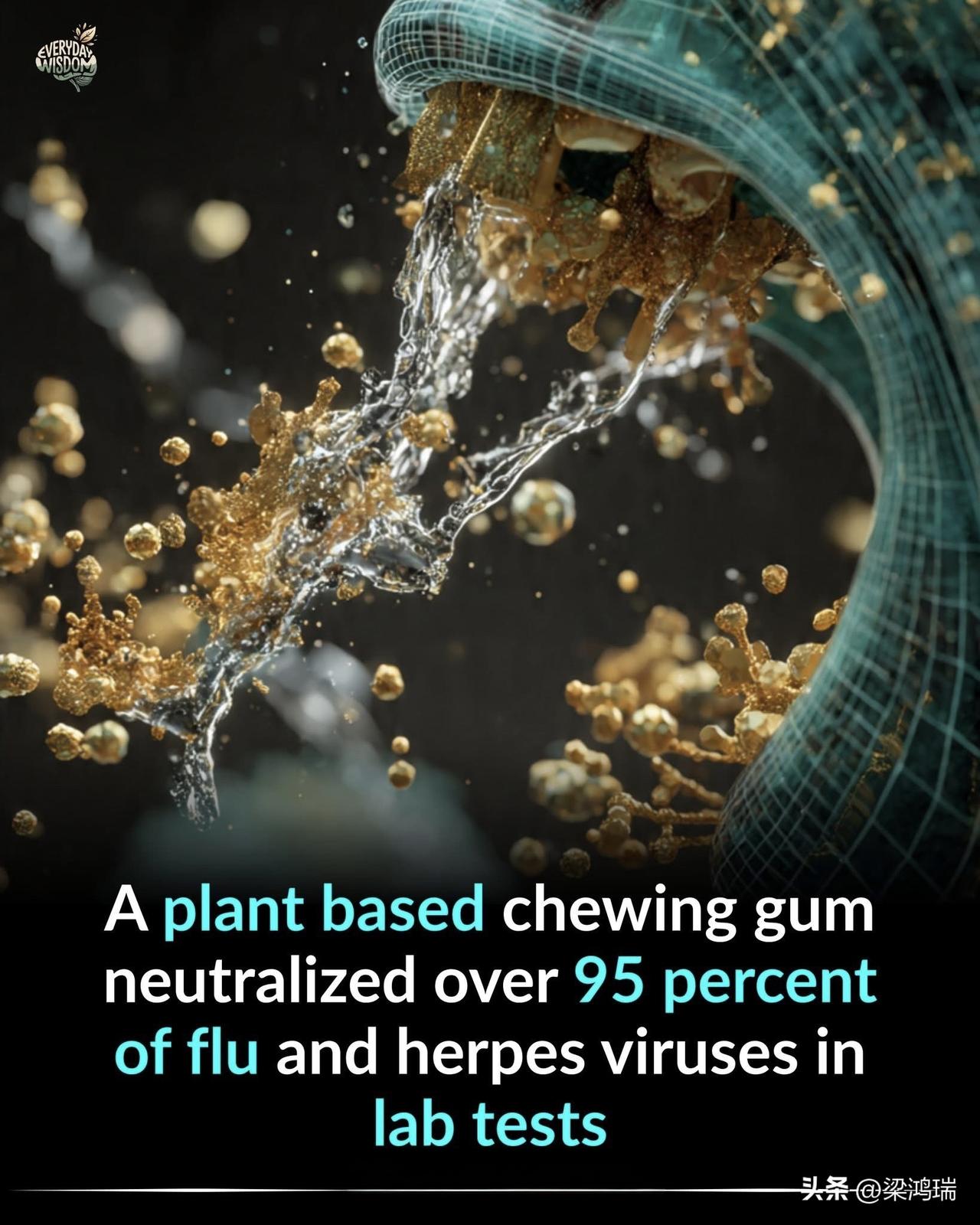 美国宾夕法尼亚大学 (University of Pennsylvania) 牙