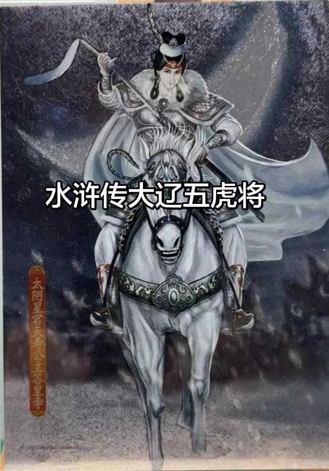 大辽五虎将
阿里奇，耶律国珍，贺重宝，琼妖纳延，兀颜光