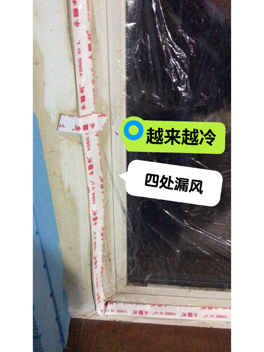征集旧被子，褥子，宠物棉衣，尿垫，你家闲置猫粮狗粮罐头，与其放过期扔了，给流浪猫...