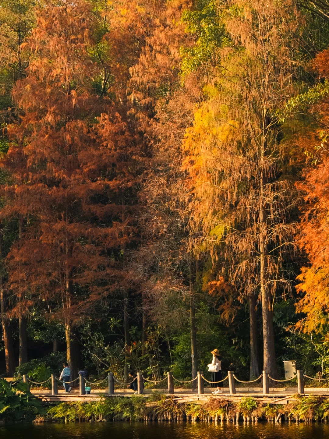 已经开始期待下个月的深圳了！