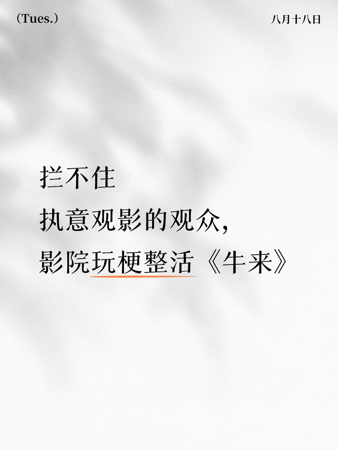 拦不住执意观影的观众，影院玩梗整活《牛来》