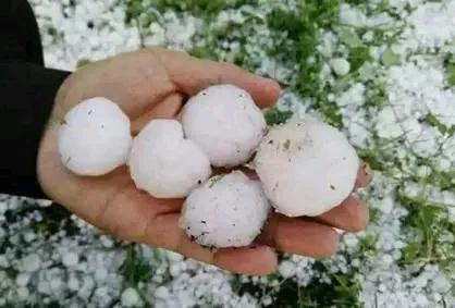 甘肃突降罕见冰雹，厚度惊人如积雪覆盖

近日，甘肃省遭遇了突如其来的极端天气，一