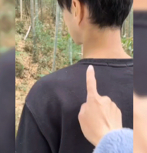 网友:发型的重要性#这发型我不#