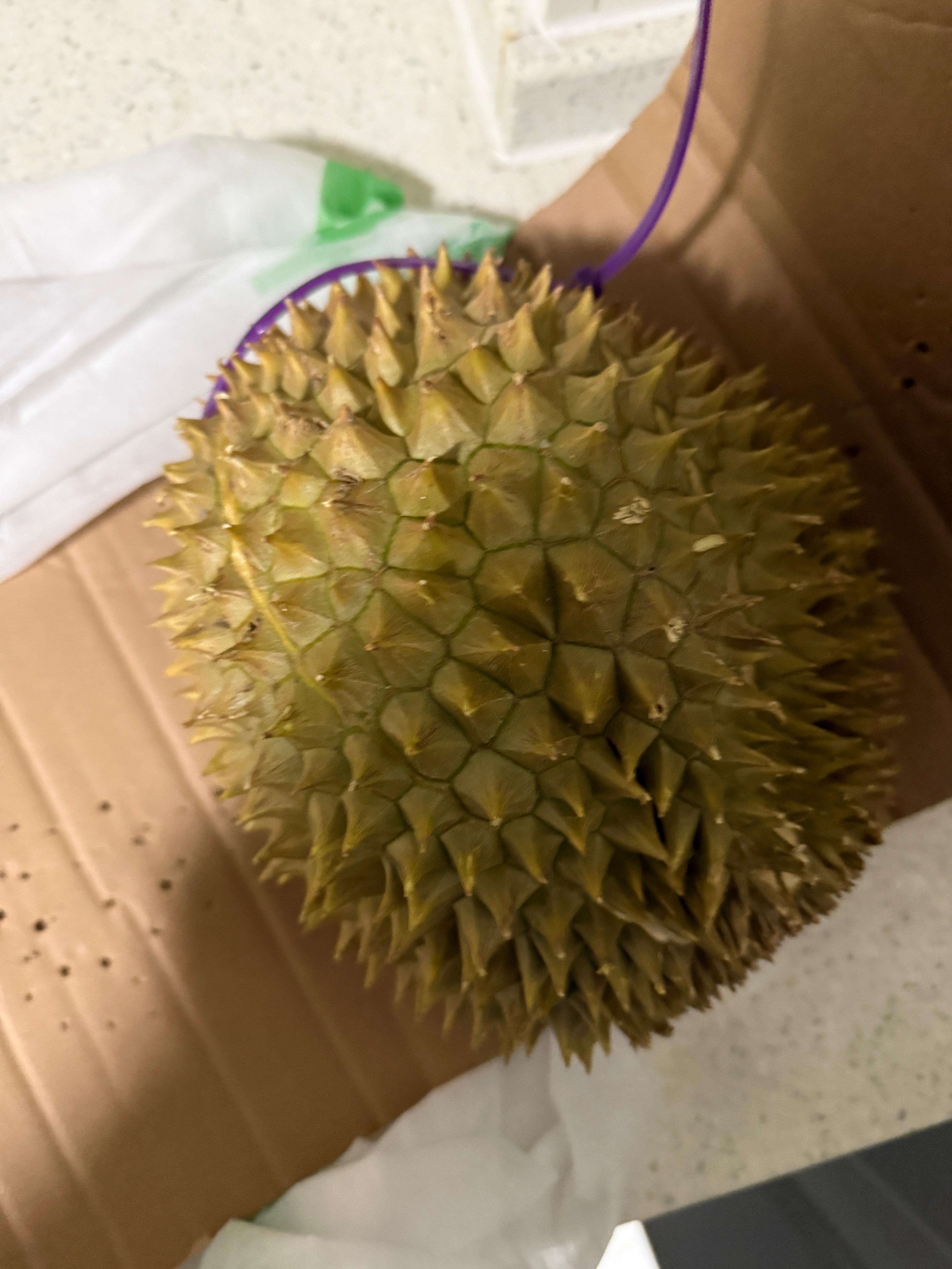 这榴莲长得这么饱满好看！开出来怎么这么点肉不够我吃两口呜呜呜今天小卷长胖了吗