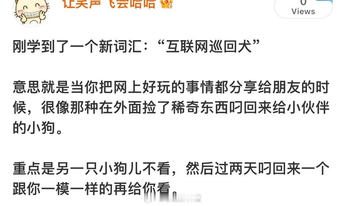 哈哈哈哈哈哈哈哈哈哈哈哈哈正式确诊为互联网巡回犬 ​​​