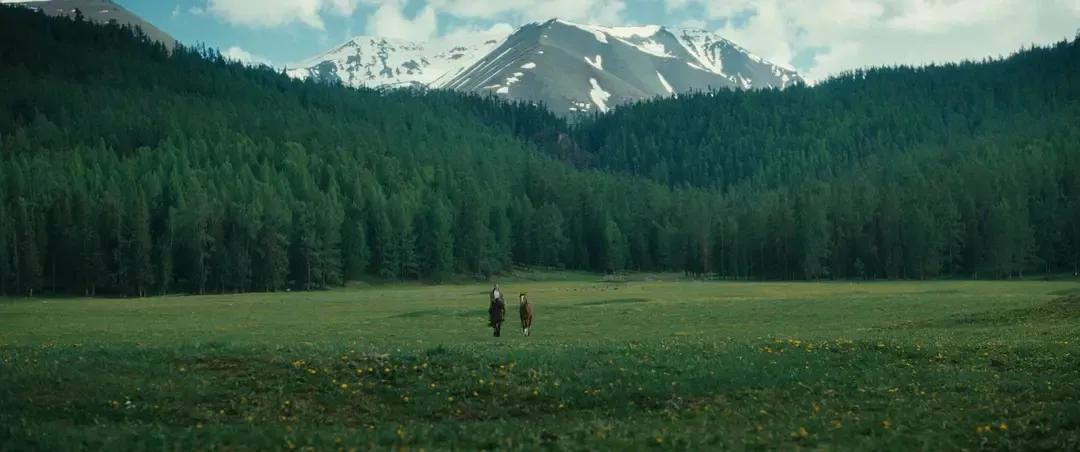 看看一个女人的奋斗。

36岁离开稳定的报社，开始全职写作；

每天早晨4：45