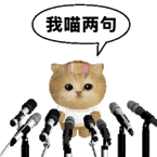 关注比铁粉多太多了，我要双人了😡（ ​​​