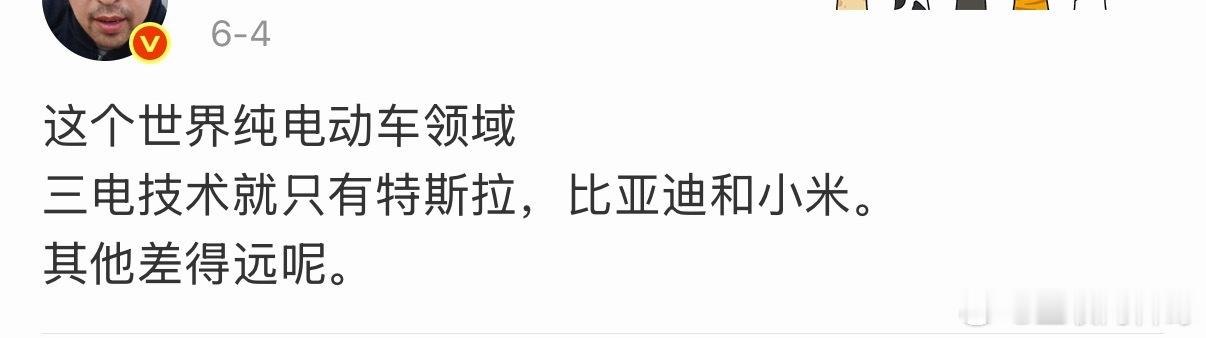 世界三电技术只有特斯拉、小米和比亚迪。。。 